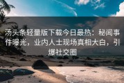 汤头条轻量版下载今日最热：秘闻事件曝光，业内人士现场真相大白，引爆社交圈