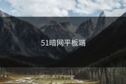 51暗网平板端