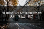 冷门真相：汤头条在线观看竟然牵扯黑料，网友全炸锅了！