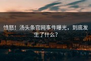 愤怒！汤头条官网事件曝光，到底发生了什么？
