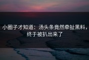 小圈子才知道：汤头条竟然牵扯黑料，终于被扒出来了
