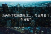 汤头条下载完整版流出，背后藏着什么秘密？