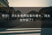 愤怒！汤头条免费版事件曝光，网友全炸锅了！