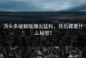 汤头条破解版爆出猛料，背后藏着什么秘密？