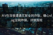 大V在深夜遭遇花絮全网炸裂，糖心vlog全网炸锅，详情围观