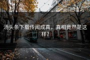 汤头条下载传闻成真，真相竟然是这样？