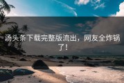 汤头条下载完整版流出，网友全炸锅了！