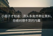 小圈子才知道：汤头条竟然牵扯黑料，你绝对想不到的内幕