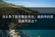 汤头条下载完整版流出，被疯传的原因竟然是这个