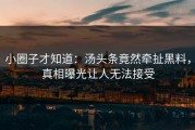小圈子才知道：汤头条竟然牵扯黑料，真相曝光让人无法接受