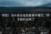 愤怒！汤头条在线观看事件曝光，终于被扒出来了