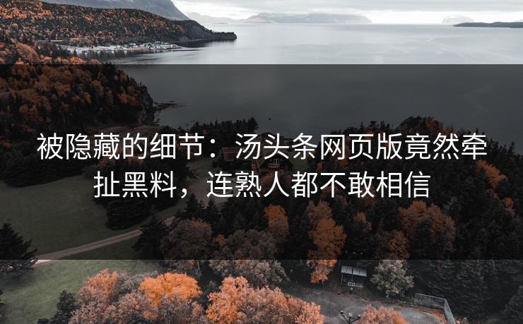 被隐藏的细节：汤头条网页版竟然牵扯黑料，连熟人都不敢相信