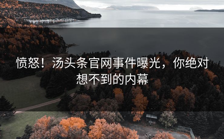 愤怒！汤头条官网事件曝光，你绝对想不到的内幕