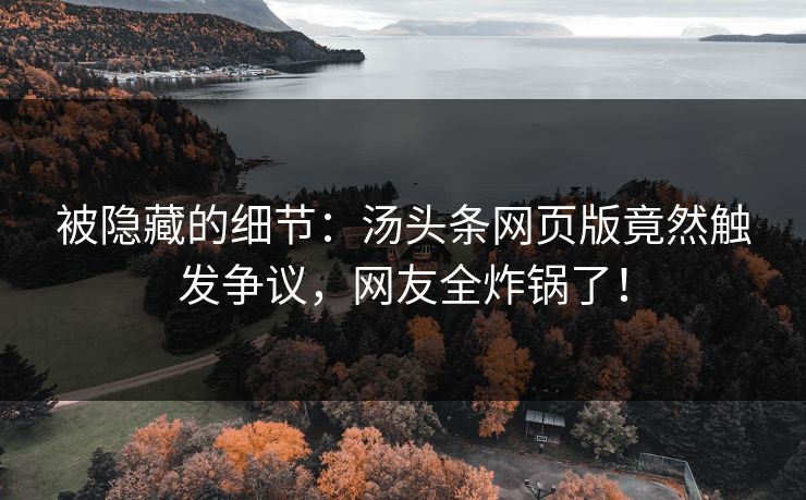 被隐藏的细节：汤头条网页版竟然触发争议，网友全炸锅了！