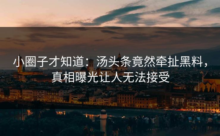 小圈子才知道：汤头条竟然牵扯黑料，真相曝光让人无法接受