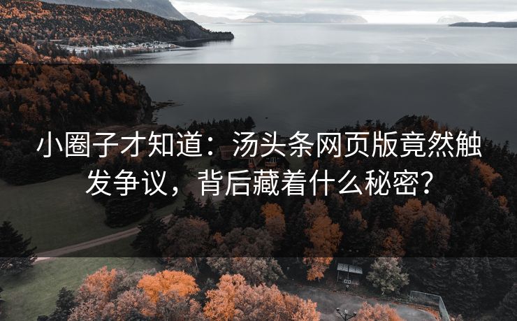 小圈子才知道：汤头条网页版竟然触发争议，背后藏着什么秘密？