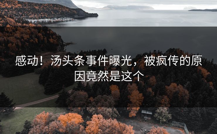 感动！汤头条事件曝光，被疯传的原因竟然是这个
