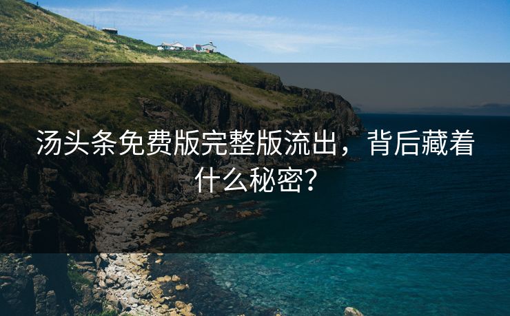 汤头条免费版完整版流出，背后藏着什么秘密？