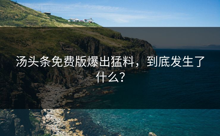 汤头条免费版爆出猛料，到底发生了什么？