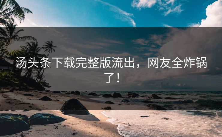 汤头条下载完整版流出，网友全炸锅了！