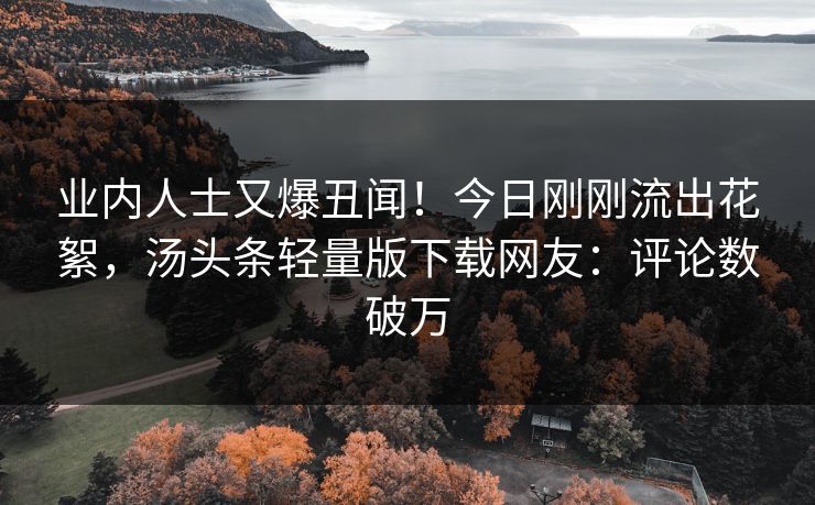 业内人士又爆丑闻！今日刚刚流出花絮，汤头条轻量版下载网友：评论数破万
