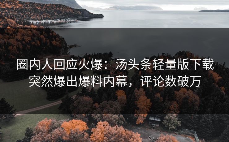 圈内人回应火爆：汤头条轻量版下载突然爆出爆料内幕，评论数破万