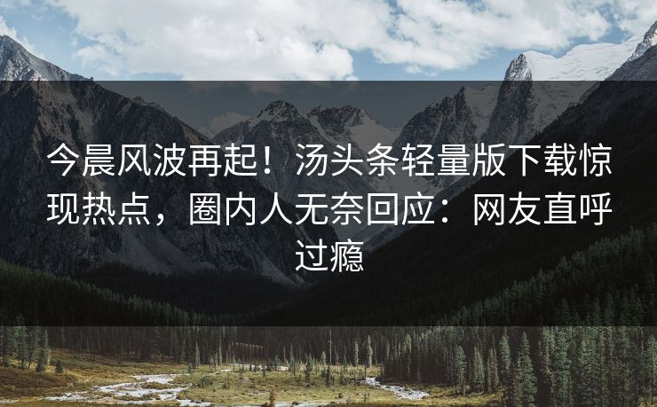 今晨风波再起！汤头条轻量版下载惊现热点，圈内人无奈回应：网友直呼过瘾
