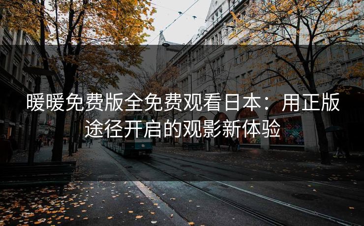 暖暖免费版全免费观看日本：用正版途径开启的观影新体验