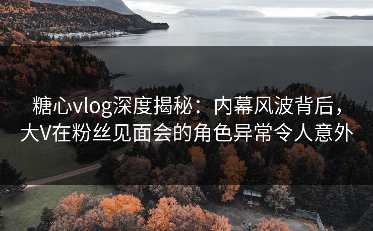 糖心vlog深度揭秘：内幕风波背后，大V在粉丝见面会的角色异常令人意外