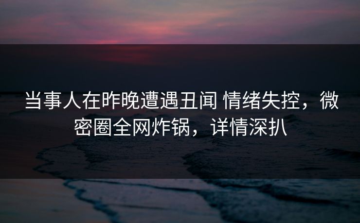 当事人在昨晚遭遇丑闻 情绪失控，微密圈全网炸锅，详情深扒