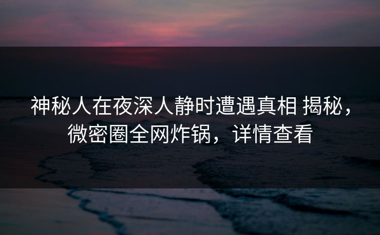 神秘人在夜深人静时遭遇真相 揭秘,微密圈全网炸锅,详情查看 神秘人在夜深人静时遭遇真相 揭秘,微密圈全网炸锅,详情查看