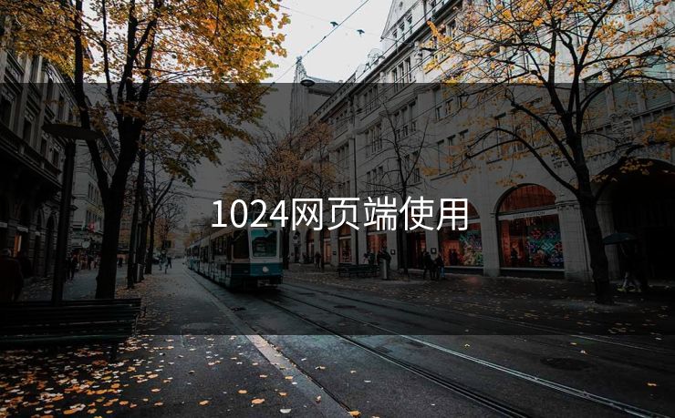 1024网页端使用