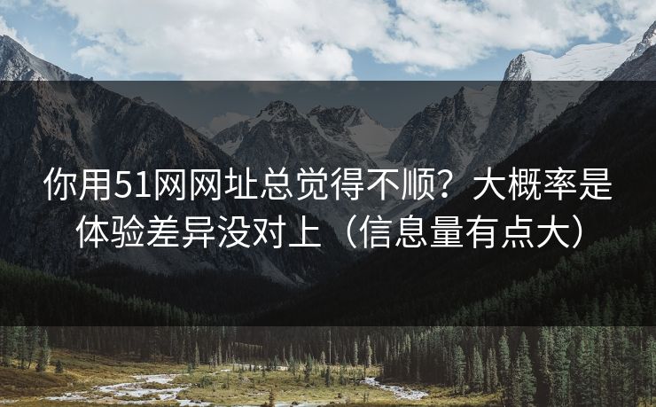 你用51网网址总觉得不顺？大概率是体验差异没对上（信息量有点大）
